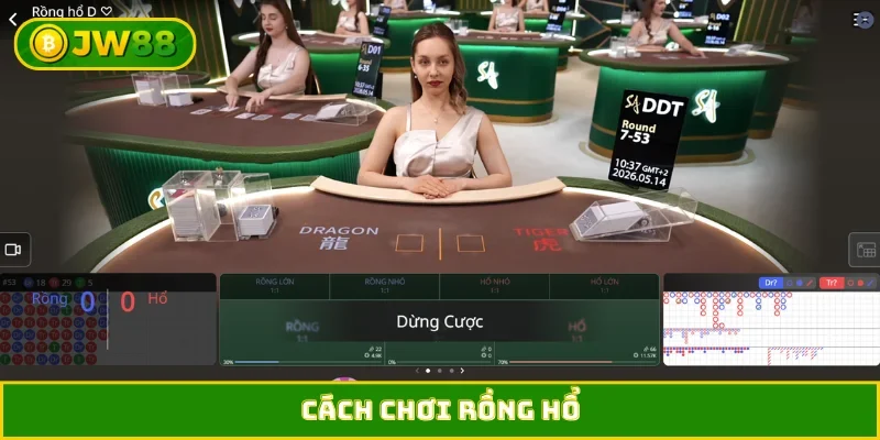rồng hổ